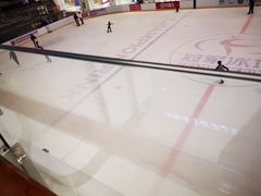 -炫采冰场(红博中央公园商场店)