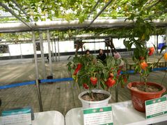 -兰陵国家农业公园