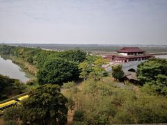 -大湾区中央湿地公园