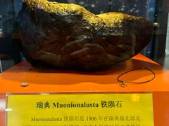 -紫金山天文台