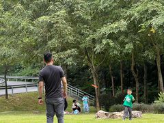 -火炉山森林公园