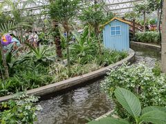 -南宫五洲植物乐园