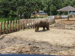 -沈阳森林动物园
