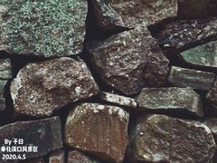 -溪口-滕头旅游景区