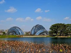 -上海海湾国家森林公园