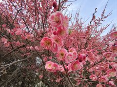 -白塘生态植物园