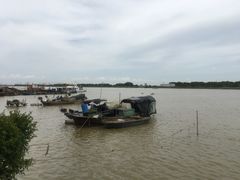 -大湾区中央湿地公园-十九涌