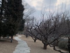 -元大都城垣遗址公园