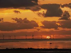 -春花秋色城市公园