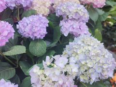 -三旗百汇商品城