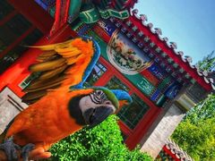 -北京世界公园