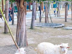 -黄龙溪欢乐田园