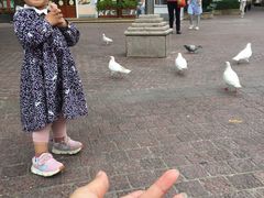 -东部华侨城