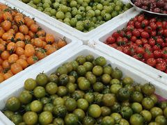 -海淀五路居(地铁站)