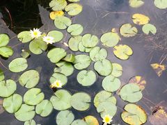 -苏州河梦清园环保主题公园