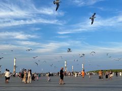 -东港音乐喷泉广场