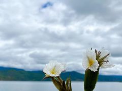 -丽江泸沽湖景区