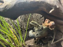 -酷嗒动物文化乐园(cutezoo西溪乐天城店)