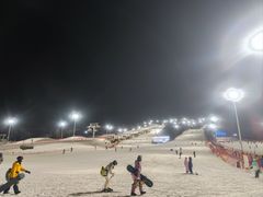 -东北亚滑雪场