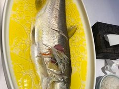 -森隆饭庄(崇文门新世界百货店)