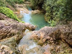 -南海湾森林生态园