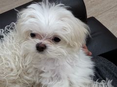 -凤凰汇购物中心