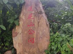 -莲花山公园