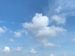 -上海滨江森林公园