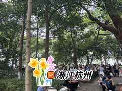 -西湖游船