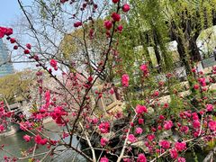 -无锡蠡湖国家湿地公园-蠡园