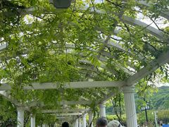 -苏州上方山国家森林公园