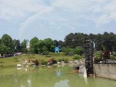 -铁山坪森林公园