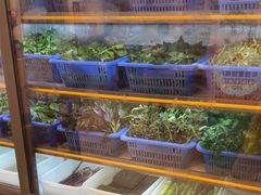 -老味道1992(武当山店)