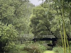 -西湖风景区-江洋畈生态公园