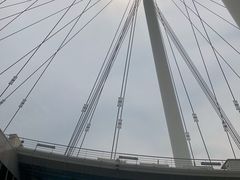 -新加坡摩天观景轮