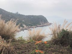 -东澳岛