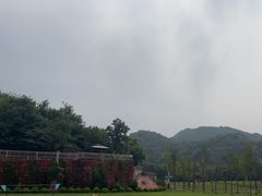 -WE ME 伴山营地·城市露营·团建策划