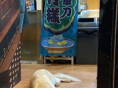 -元氏钵仔糕(北京路店)