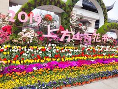 -苏州上方山国家森林公园