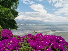 -苍山感通索道
