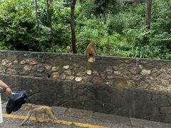 -黔灵山公园