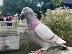 -重元寺