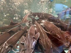 -贺庄·活鱼馆(珠吉路店)