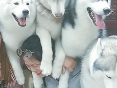 -TrueLove @ Neverland (Husky Cafe)