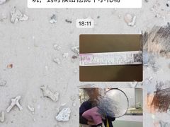 -汪说喵讲宠物乐园宠物酒店(红星美凯龙店)