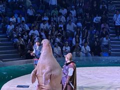 -哈尔滨波塞冬海底世界