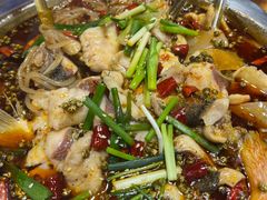 -乡土特色.冷锅鱼.牦牛肉汤锅