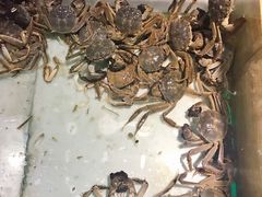 -兴烨汇海鲜自助