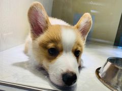 -乐宠宠物店(世纪金源店)