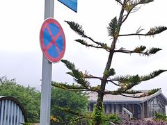-渔寮风景区
